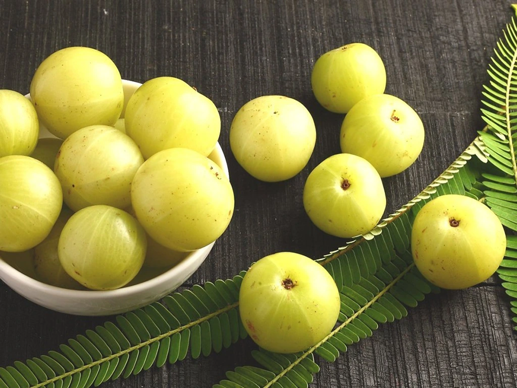 Blogs 4 Secrets of Amla: Nature’s Gift for Thicker and Stronger Hair