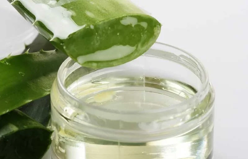 Blogs 5 Why You Should Choose Aloe Vera Gel for Skin Care Need
